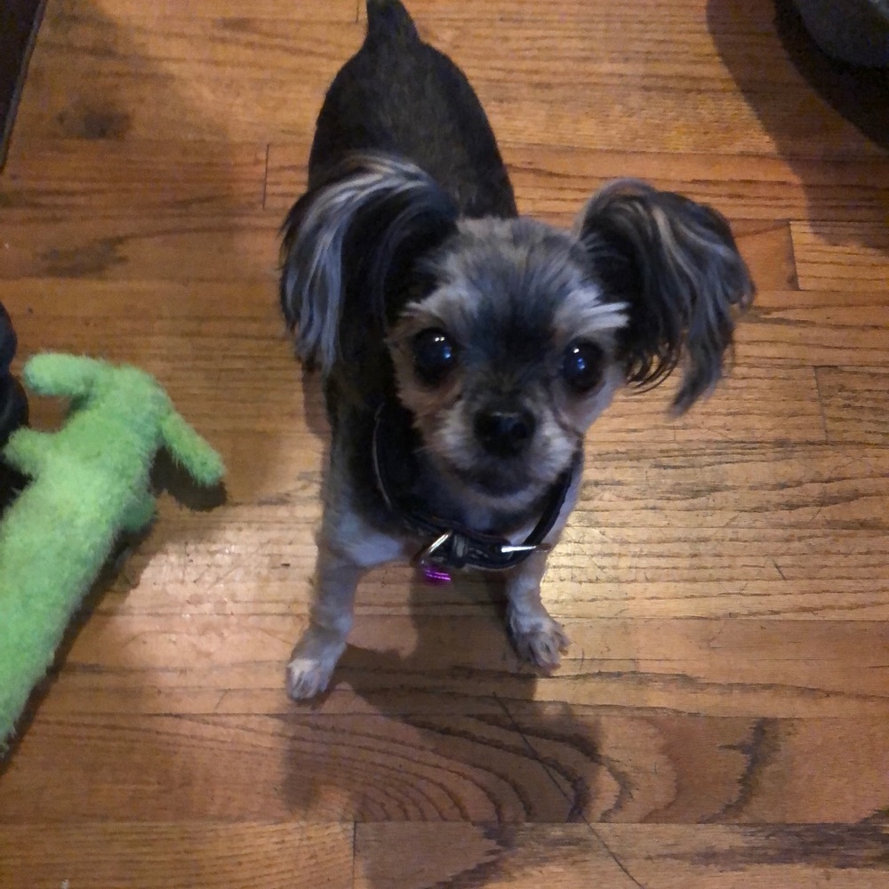 Meet your Posher, Cheryl